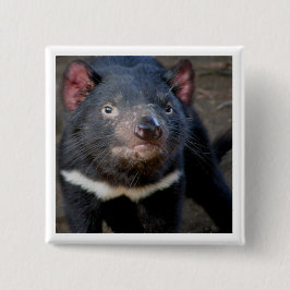 Tasmanian Devil Vierkante Button 5,1 Cm