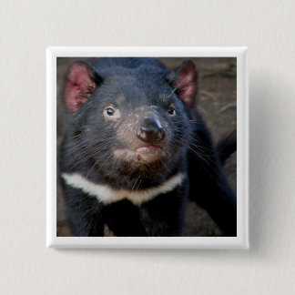 Tasmanian Devil Vierkante Button 5,1 Cm