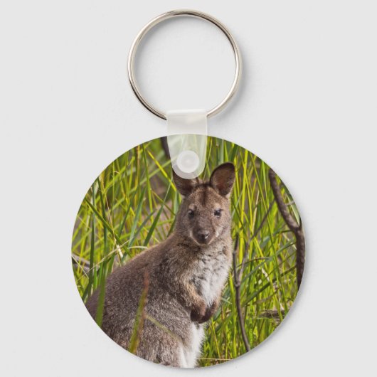 Tasmanian Pademelon Sleutelhanger (Voorkant)