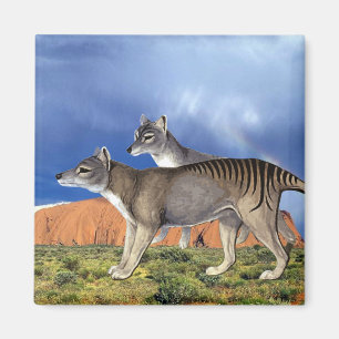Tasmanian Tiger Magnet