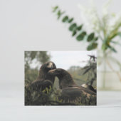 Tasmanian wedge tailed eagles briefkaart (Staand voorkant)