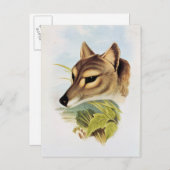 Tasmanian Wolf of Tiger Briefkaart (Voorkant / Achterkant)