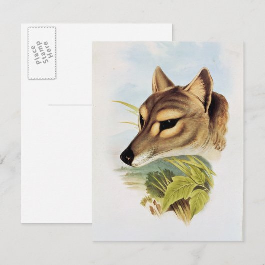 Tasmanian Wolf of Tiger Briefkaart (Voorkant / Achterkant)