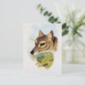 Tasmanian Wolf of Tiger Briefkaart (Staand voorkant)