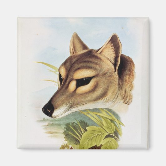 Tasmanian Wolf of Tiger Magneet (Voorkant)