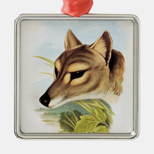 Tasmanian Wolf of Tiger Metalen Ornament (Voorkant)