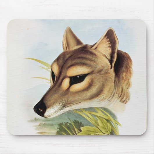 Tasmanian Wolf of Tiger Muismat (Voorkant)