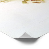 Tasmanian Wolf of Tiger Poster (Hoek)