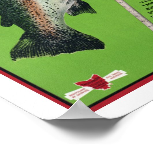 Tasmanie ~ Het paradijs van Angler Poster (Hoek)