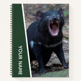 Tasmaniëduivel, Tasmanië, Australië, Groen Notitieboek