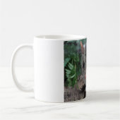 Tasmaniequoll Koffiemok (Links)