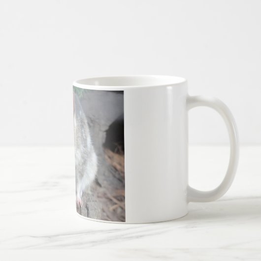 Tasmaniequoll Koffiemok (Rechts)