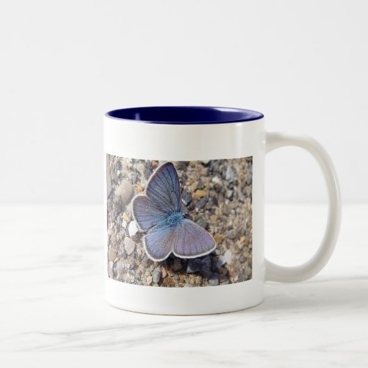 Tasse blauer Schmetterling Tweekleurige Koffiemok (Rechts)