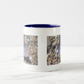 Tasse blauer Schmetterling Tweekleurige Koffiemok (Center)