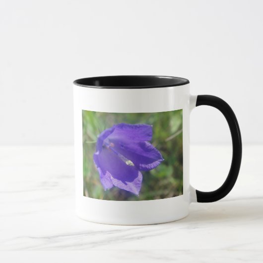 Tasse braue Glockenblume Mok (Rechts)