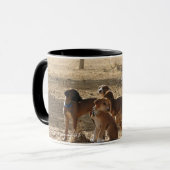 TASSE Chiots Azawakh Idi de sahel Mok (Voorkant links)