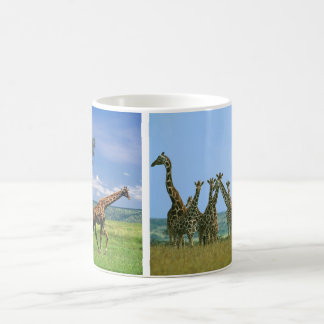 Tasse Giraffen Herde Koffiemok