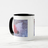 Tasse Hagebutte mit Schneehäufchen Mok (Voorkant links)