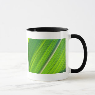 Tasse hellgrünes Maisblattdesign Mok