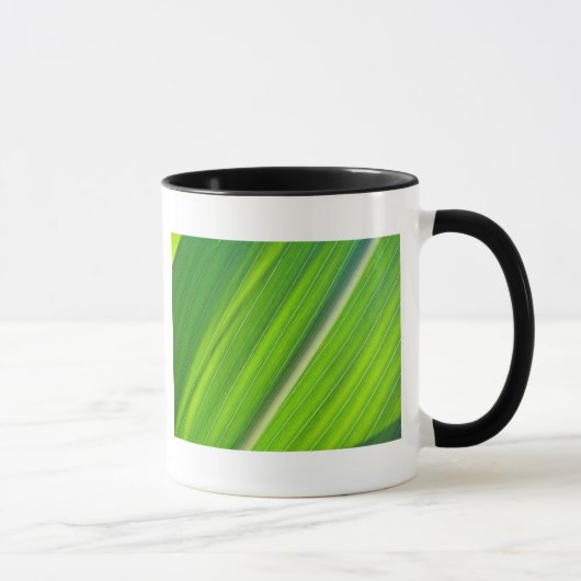 Tasse hellgrünes Maisblattdesign Mok (Rechts)