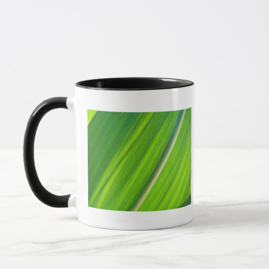 Tasse hellgrünes Maisblattdesign Mok (Links)