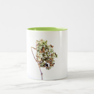 Tasse Hortensia Tweekleurige Koffiemok