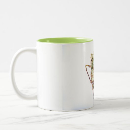 Tasse Hortensia Tweekleurige Koffiemok (Links)