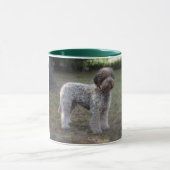 Tasse lagotto-Romagnolo Mok (Midden)