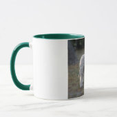 Tasse lagotto-Romagnolo Mok (Links)