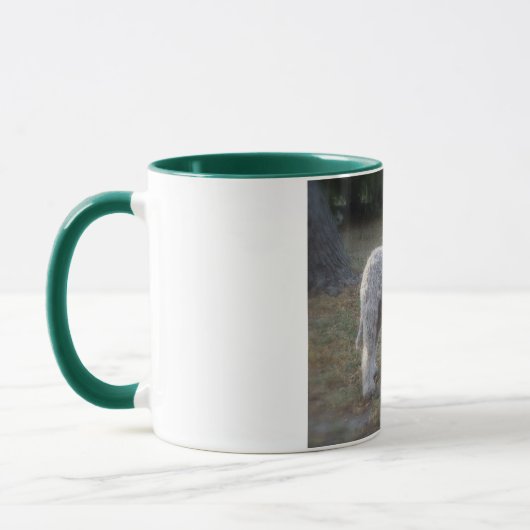 Tasse lagotto-Romagnolo Mok (Links)