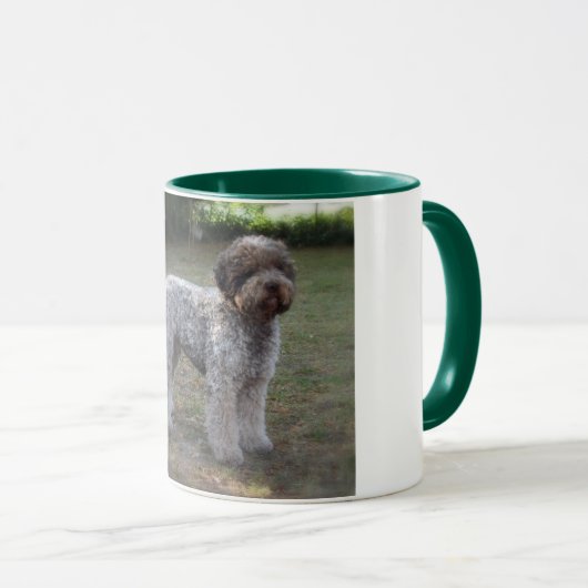 Tasse lagotto-Romagnolo Mok (Voorkant rechts)