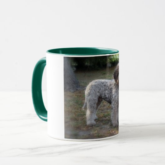 Tasse lagotto-Romagnolo Mok (Voorkant links)