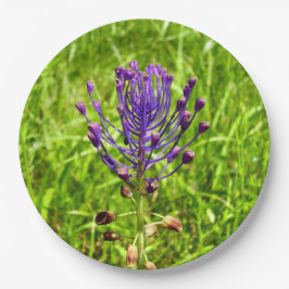 Tassel-Hyacinth Paper-Borden Papieren Bordje