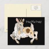 Tassen Ma Goats! Briefkaart (Voorkant / Achterkant)
