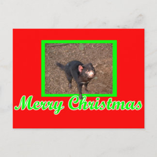 Tassie Devil Briefkaart