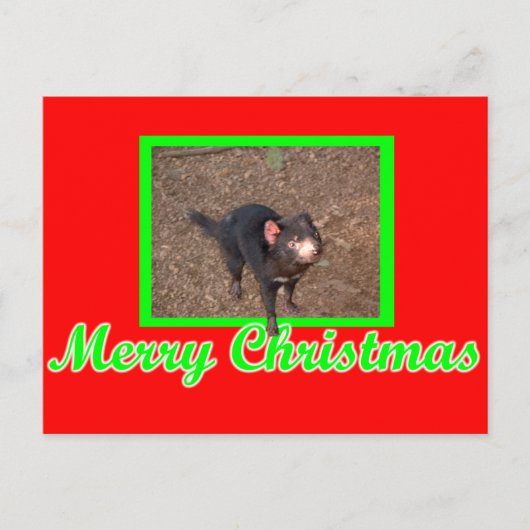 Tassie Devil Briefkaart (Voorkant)