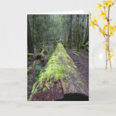 Tassie Tree Kaart (Gele Bloem)