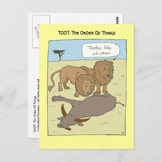 Tasta's als kippen briefkaart (Voorkant / Achterkant)