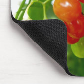 Taste de Berries Muismat (Hoek)
