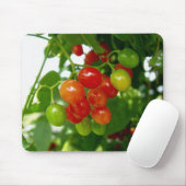 Taste de Berries Muismat (Met muis)