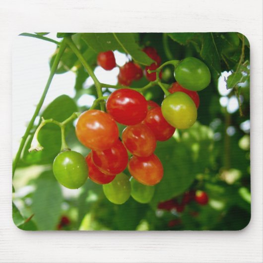 Taste de Berries Muismat (Voorkant)