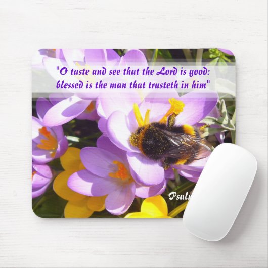 TASTE EN SEE ~ Mousepad Muismat (Met muis)