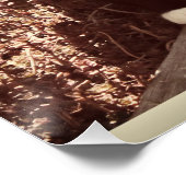 Taste Life Motivatie Kat Foto Quote Poster (Hoek)