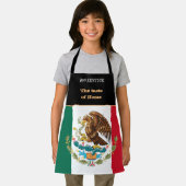 Taste of Home & Mexicaanse vlag, Mexico /Cooking Schort (Insitu)