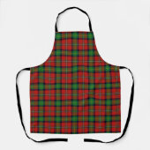 Taste of Scotland Clan Boyd Tartan Pset Schort (Voorkant)