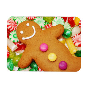 Tastmakreel magnet magneet