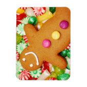 Tastmakreel magnet magneet (Verticaal)