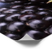 Tasty Summer Fruits on a Wooden Table Poster (Hoek)