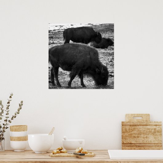 Tatanka Poster (Keuken)