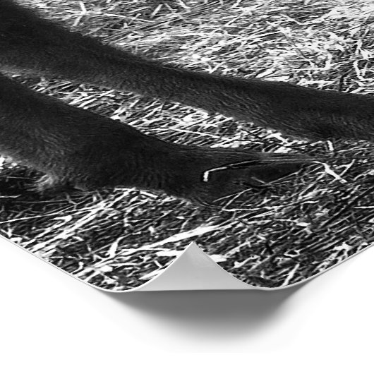 Tatanka Poster (Hoek)